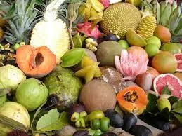 Capa: Baixar Curso: Maximize Nutrição a Cada Mordida – Download!