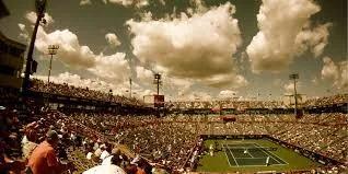Capa: Baixar Curso: Go Federer – Domine o Marketing Digital