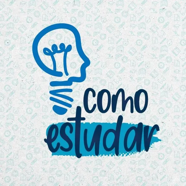 Capa: Baixar Curso Como Estudar Renata Peluso: Download Completo