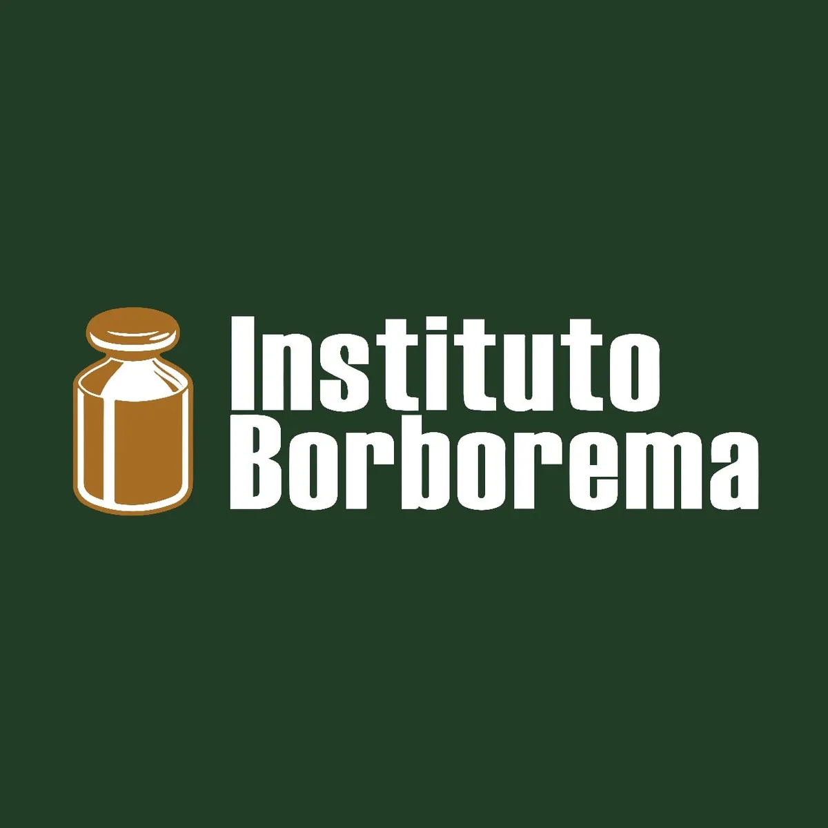 Capa: Instituto Borborema Formação Básica: Baixar Curso Completo