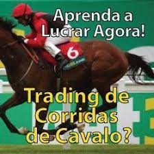 Estudante focado em tela de computador com gráficos de apostas em cavalos