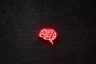 Biohack Academy Rodrigo Barb - Curso de Biohacking e Alta Produtividade