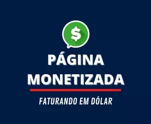 Curso Página Monetizada Leandro Silva download completo