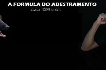 Capas do curso Fórmula do Adestramento 2.0 de Dionatas Piloto em alta resolução