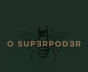 Capa do curso Reels Super Poderoso de Paulo Cuenca com design vibrante e moderno, destacando ícones de redes sociais e um botão de 'download'.