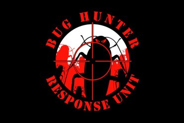 Curso The Bug Hunter Andres Alonso download completo