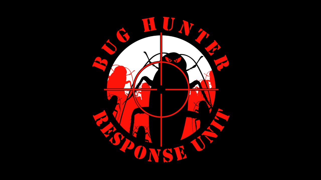 Curso The Bug Hunter Andres Alonso download completo