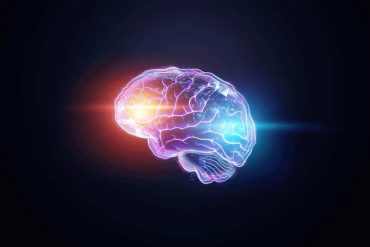 Curso Data Science na Prática Sigmoidal download completo