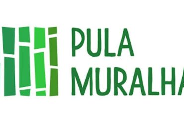 Curso de Chinês Pula Muralha Si Liao - Conteúdo Completo para Download
